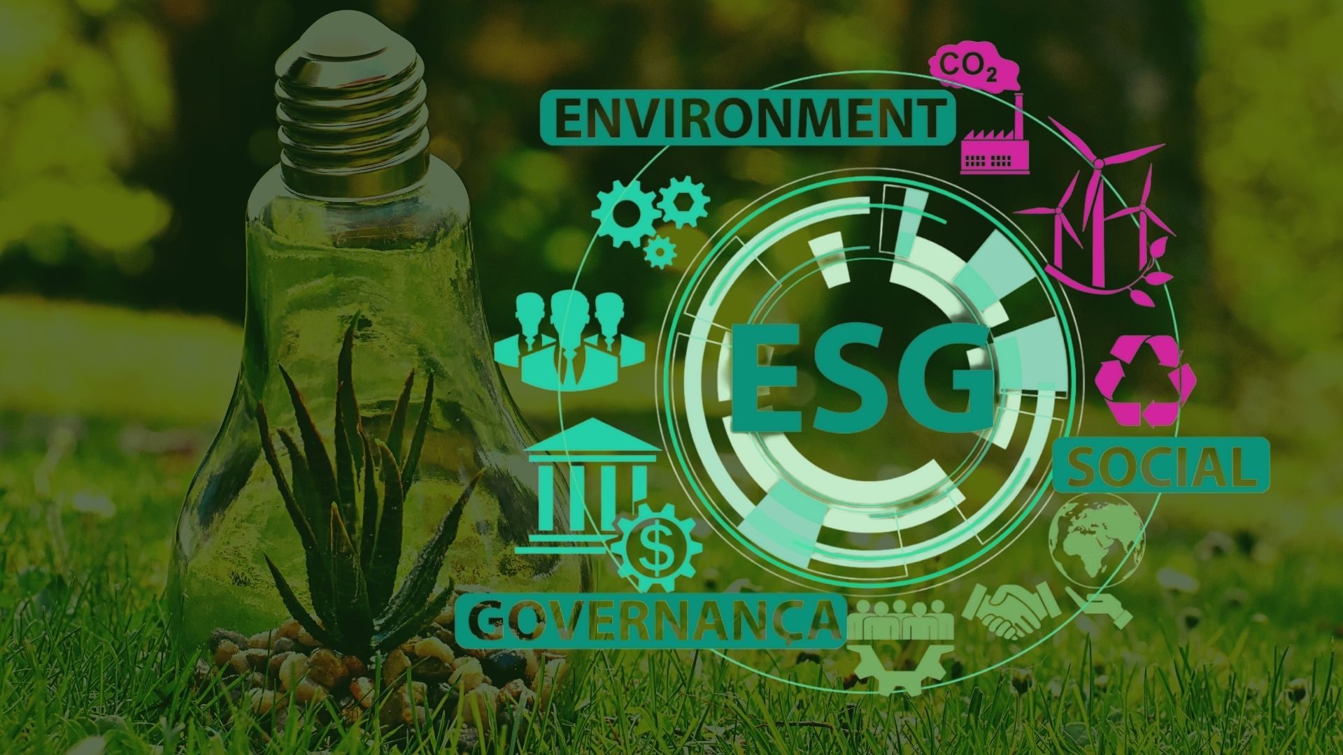 Meio Ambiente ESG