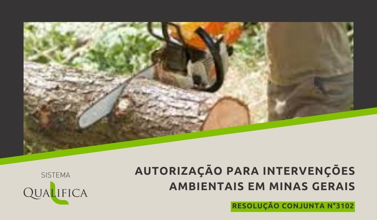 Processos de requerimento de autorização para intervenções ambientais