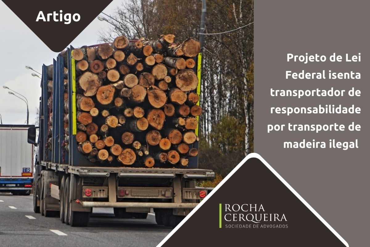 responsabilidade transporte ilegal