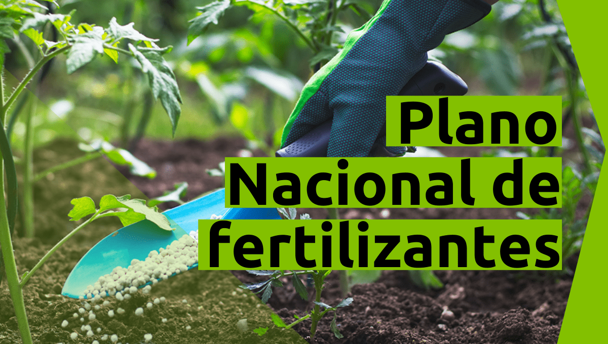 PNF 2022-2050