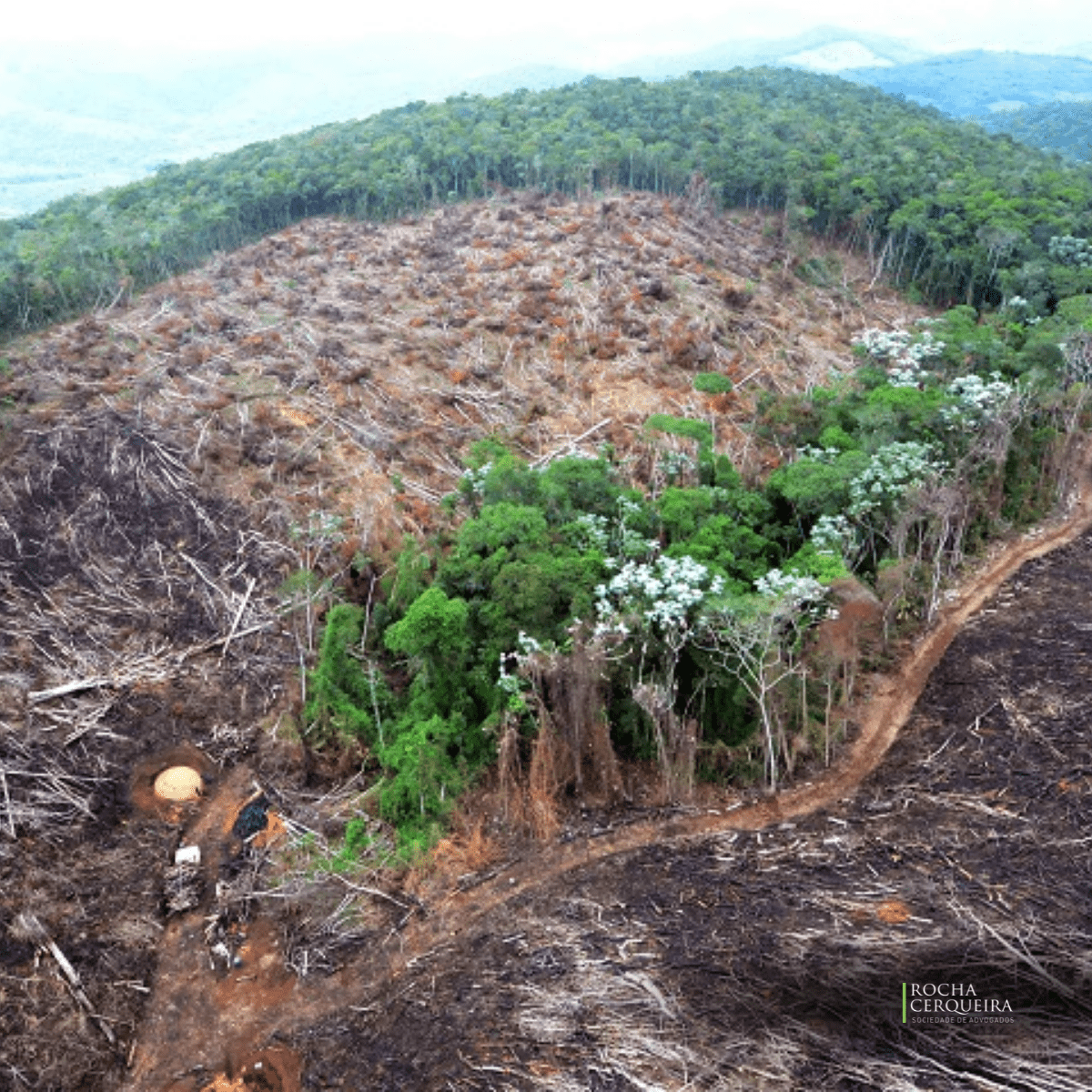 licenciamento ambiental automático