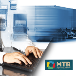 MTR online – Sinir: o que é e sua importância