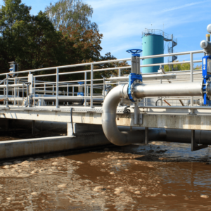 Declaração de Carga Poluidora