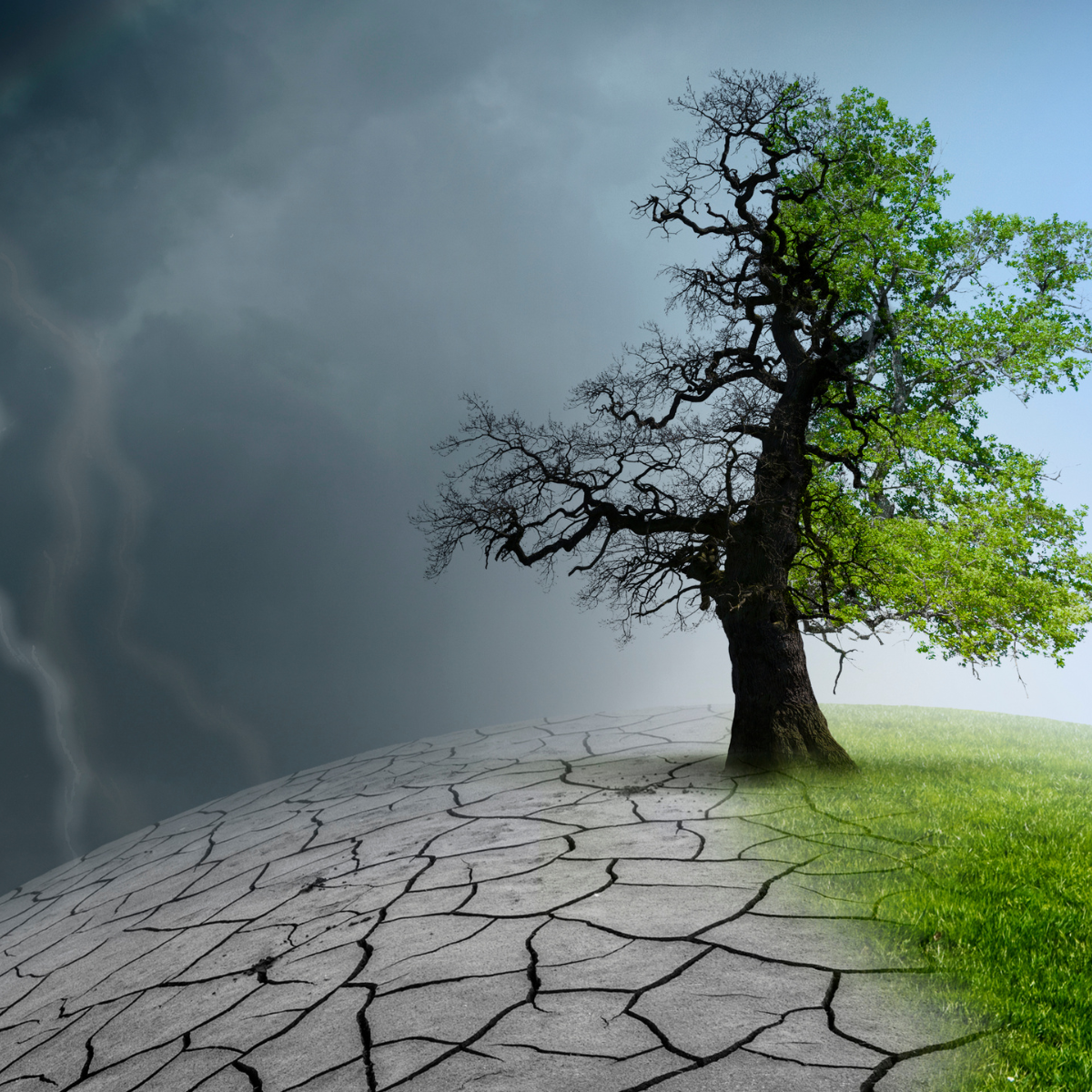 Planos Setoriais de Mitigação das Mudanças Climáticas