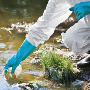 Fiscalização Ambiental