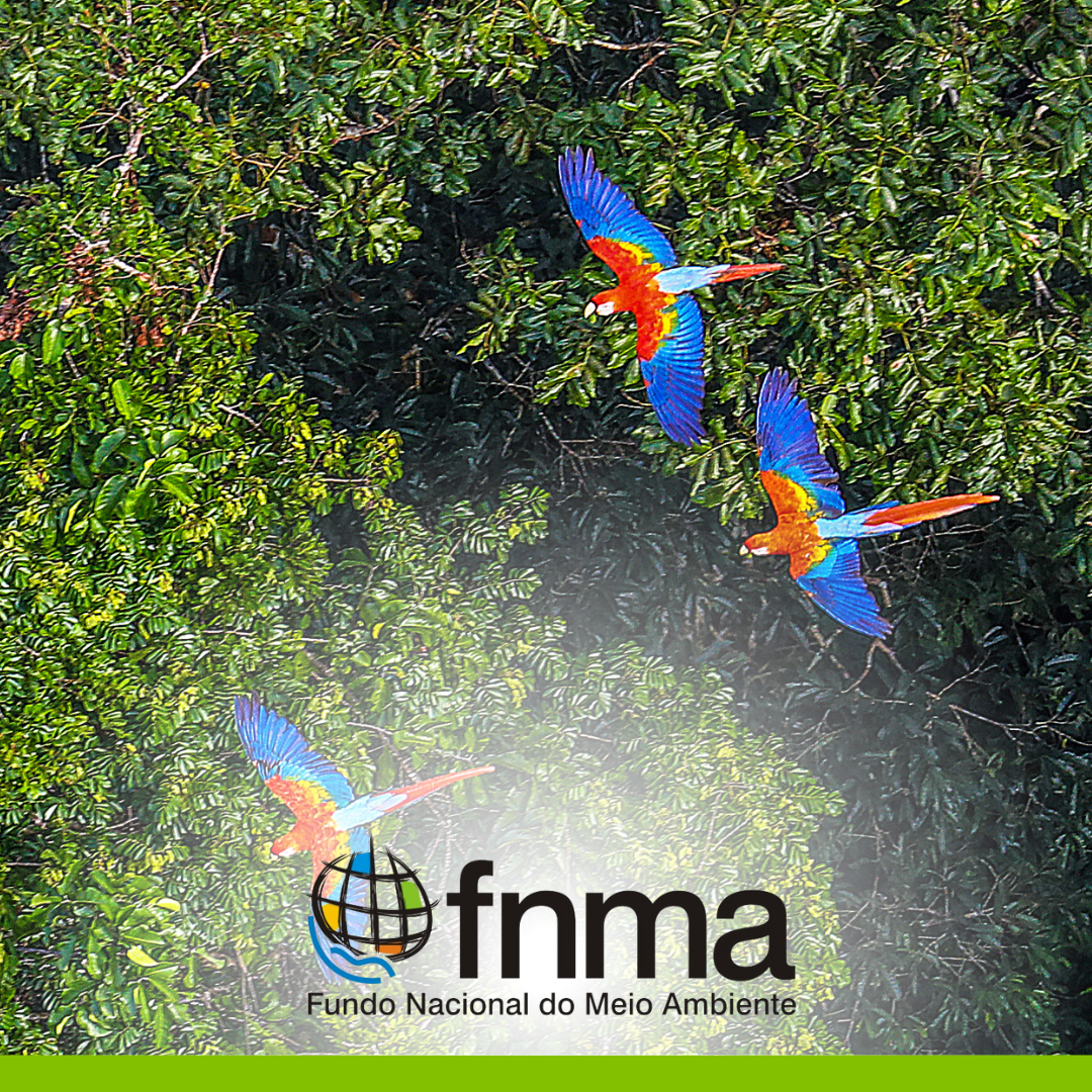 Fundo Nacional do Meio Ambiente