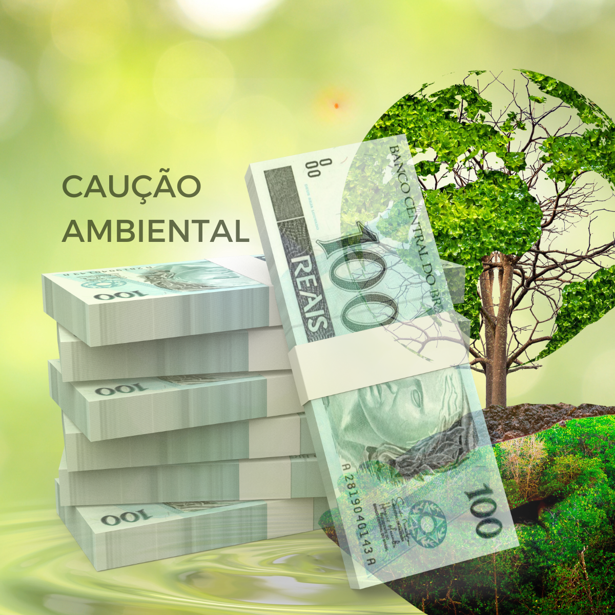 Caução Ambiental no Decreto MG 48747/23