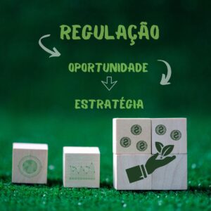 Mercado de Carbono SBCE