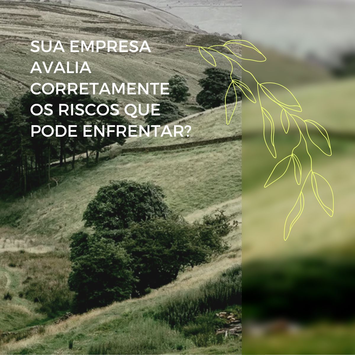 Risco, mudança climática e sustentabilidade