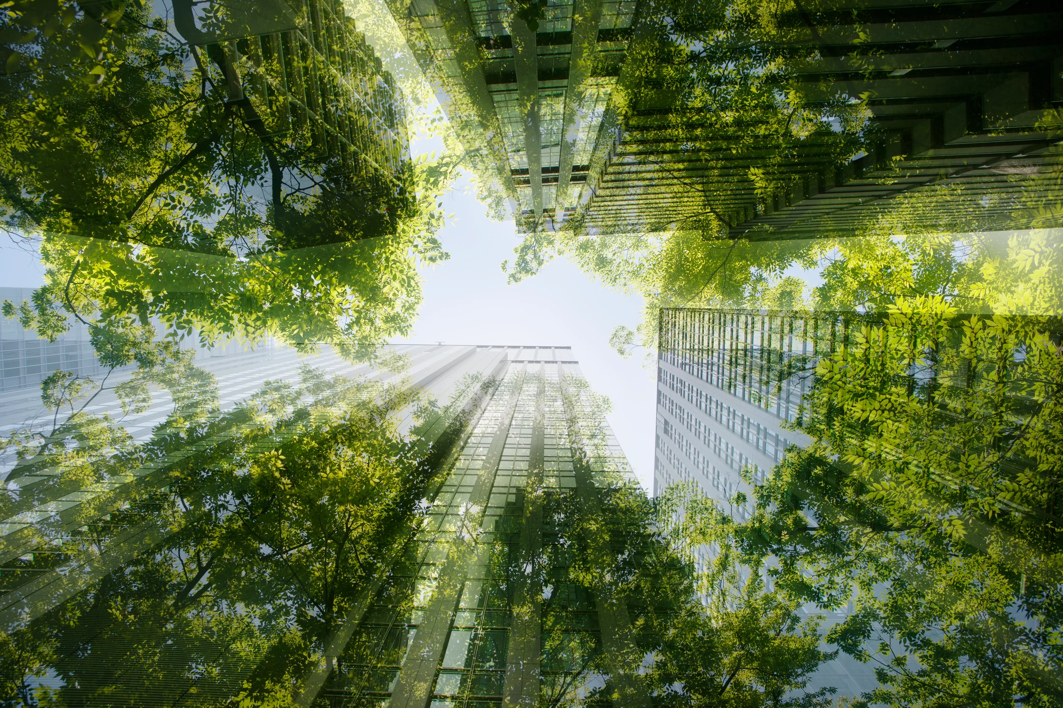 assinatura digital sustentabilidade